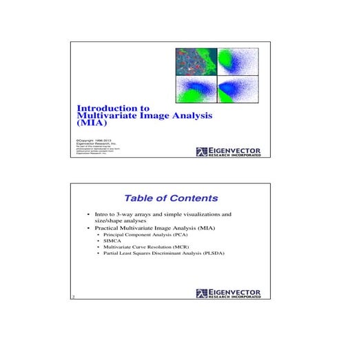 SLOPE 1st workshop - presentation 7
