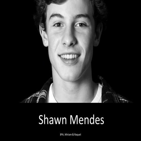 Shawn Mendes, by Miriam & Raquel