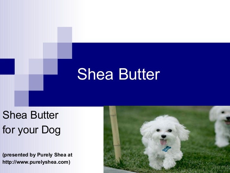 Shea Butter for Your Dog