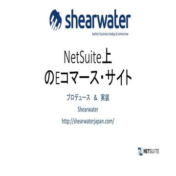 Shearwater net suite ecommerce solution