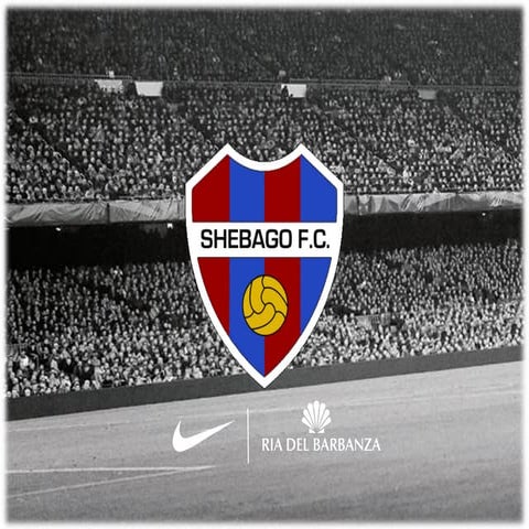 Shebagofc presentations