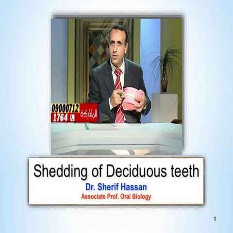 Shedding of deciduous teeth.