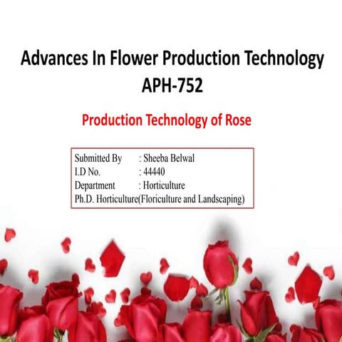 Production Technology of Roses In India