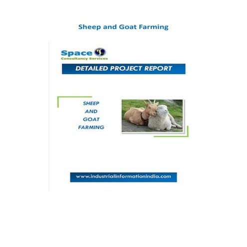 Sheep and Goat Farming Project Report and Business Idea