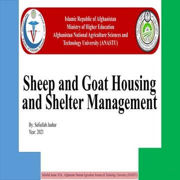 Sheep and goats housing management