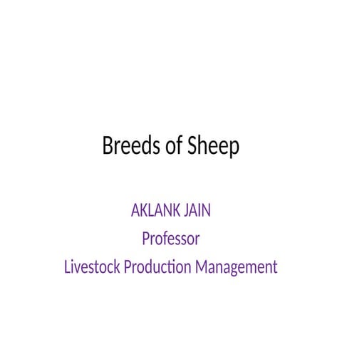 Sheep breed_lpm1234567890)(*&^%$#@#$.pptx
