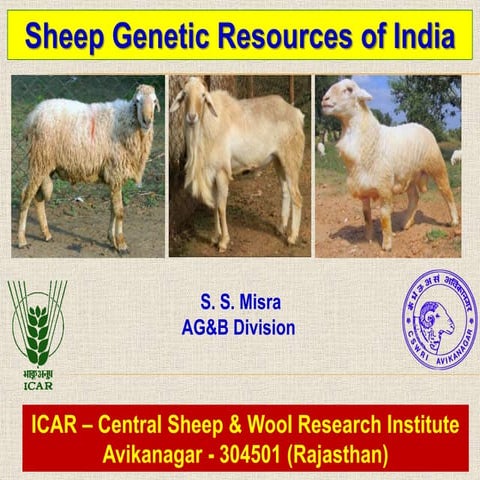 Sheep genetic resources of India
