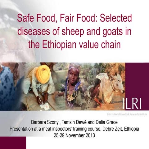 Selected diseases of sheep and goat in the Ethiopian value chain | PDF