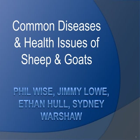 Sheep production powerpoint