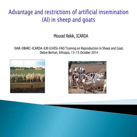 Advantage and restrictions of artificial insemination (AI) in sheep and goats