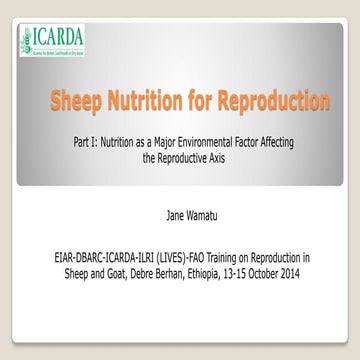 Sheep nutrition for reproduction—Part I: Nutrition as a major environmental f...
