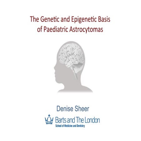 Genetic and Epigenetic Basis of Paediatric Astrocytomas