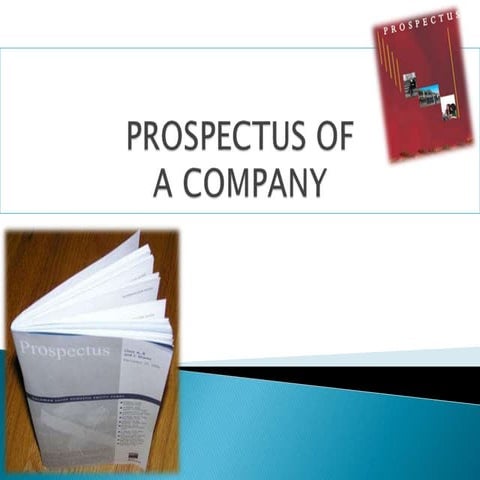 prospectus of a company