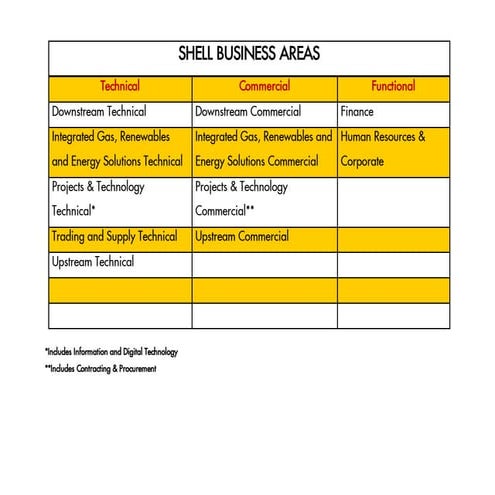 shell-business-areas.pdf