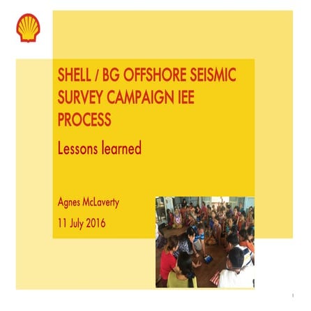 SHELL / BG OFFSHORE SEISMIC SURVEY CAMPAIGN IEE PROCESS Lessons learned