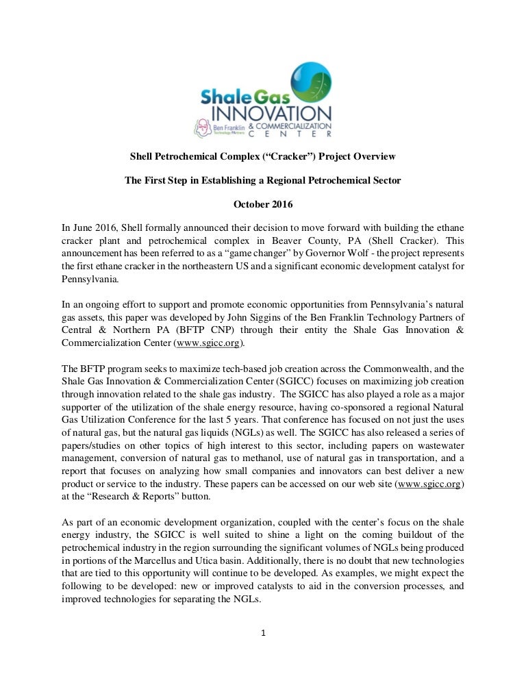 Essay on petrochemicals 07 picture