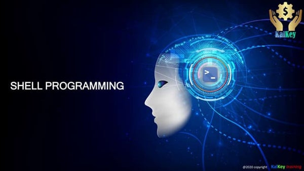 Shell Script Tutorial