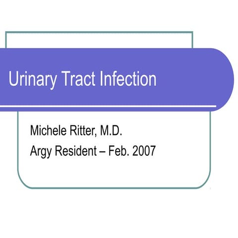 Terry letter of reccommendation | PDF