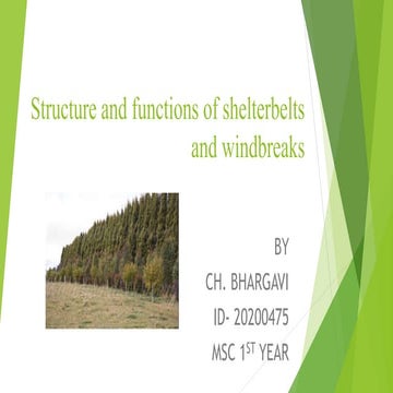 Shelterbelts and windbreaks