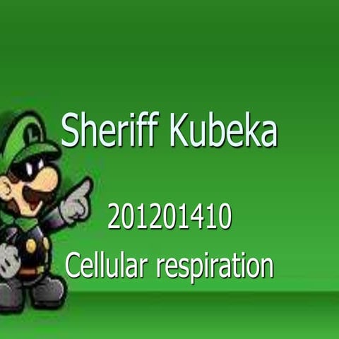 Sheriff kubeka