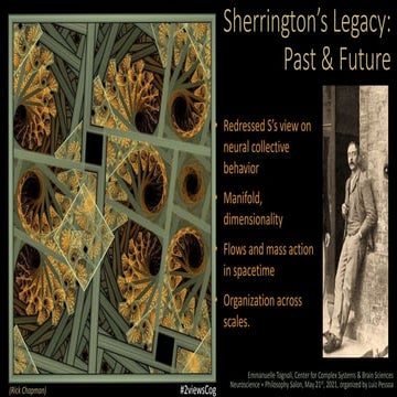 "Sherrington's legacy" by Emmanuelle Tognoli 
