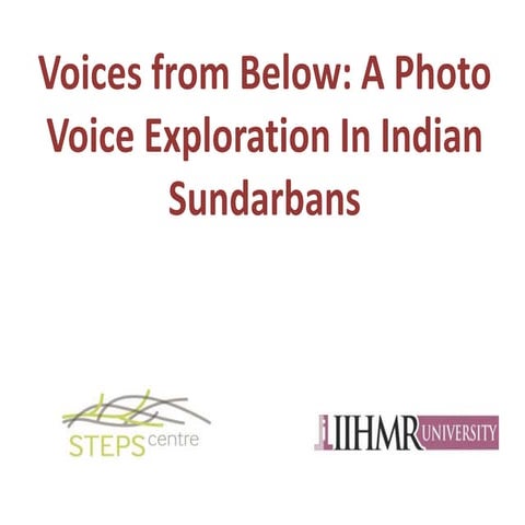 Shibaji Bose - Voices from below - a Photo Voice exploration in Indian sundar...