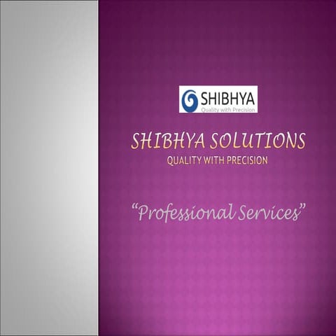 Shibhya   Professional Services