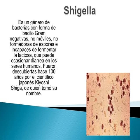 Shigella
