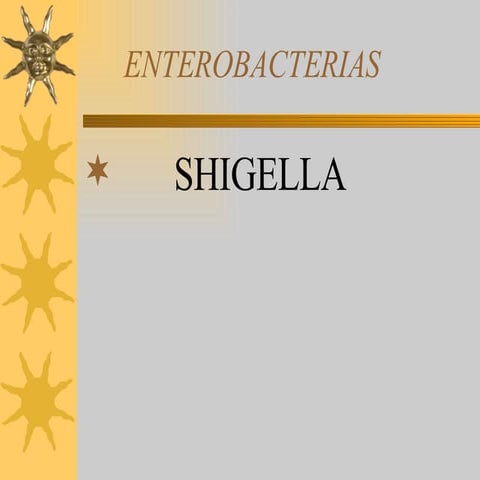 Shigella