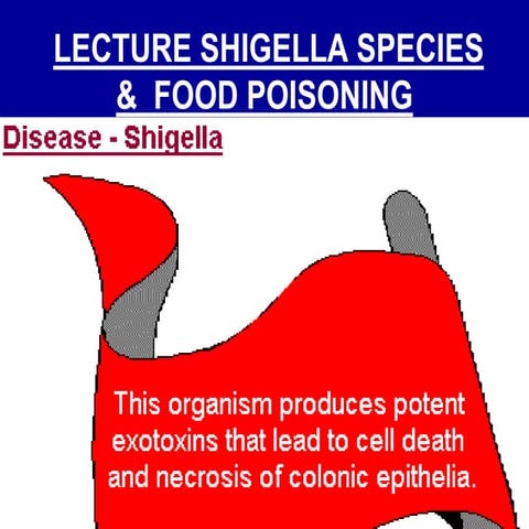 Shigella