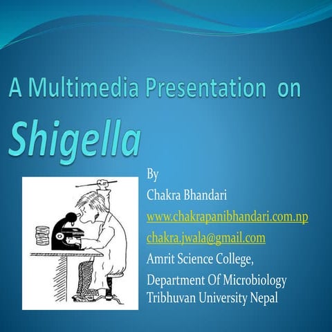 Shigella