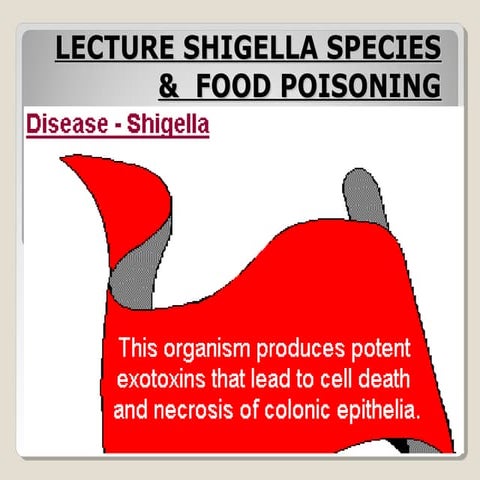 Shigella and food poisoning