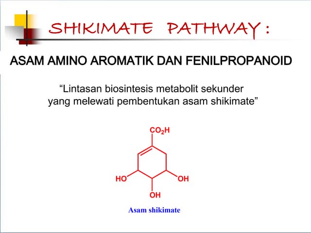 Shikimate pathway jalur metabolisme metabolit sekunder.ppt