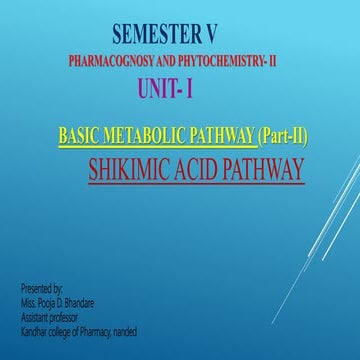 Shikimic acid pathway