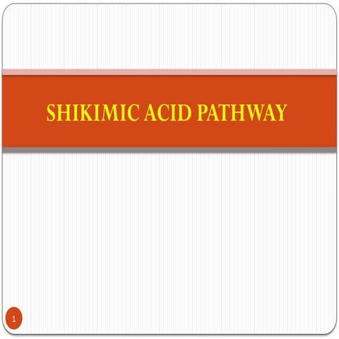 shikimic acid pathway B pharm 5th semester