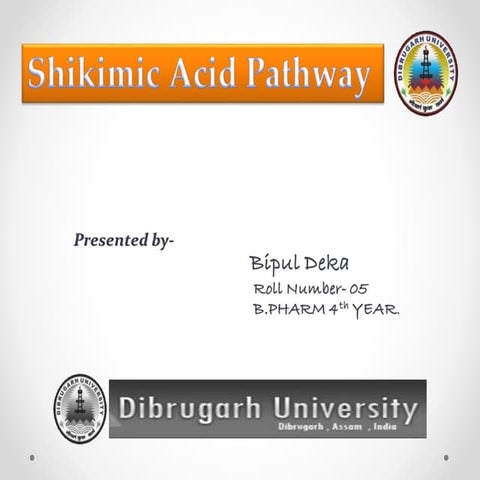 Shikimik acid pathway