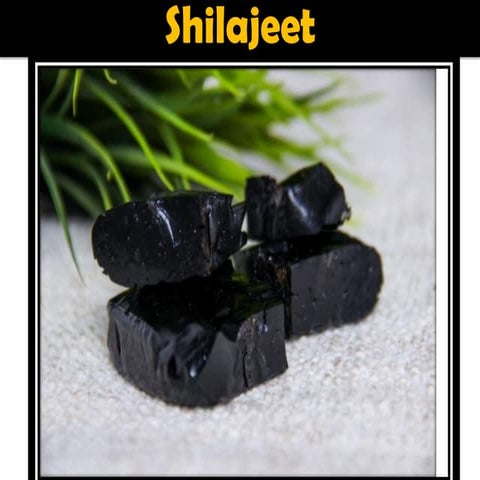 Shilajeet | PPT