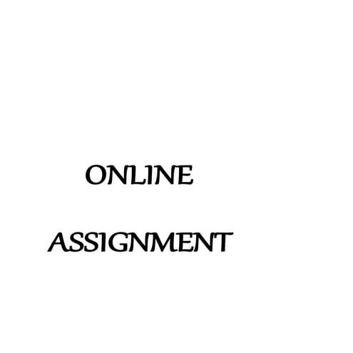 online Assignment | DOCX