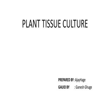 plant tissue culture