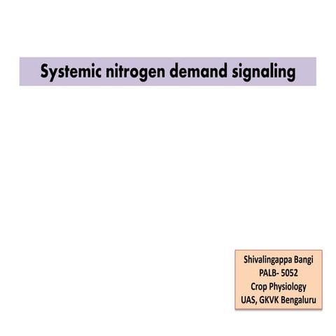 Shiva Bangi presented the "Systemic nitrogen demand signaling"