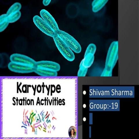 Shivam Sharma.karyotype.group 19.pptx