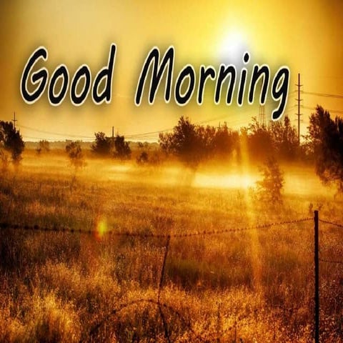 SHOCK ;CARDIOGENIC, ANAPHYLATIC, NEUROGENIC, HYPOVOLEMIC, SEPTIC SHOCK  