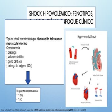 Shock Hipovolémico: Fenotipos, Clasificación y Manejo Clínico Integral ...