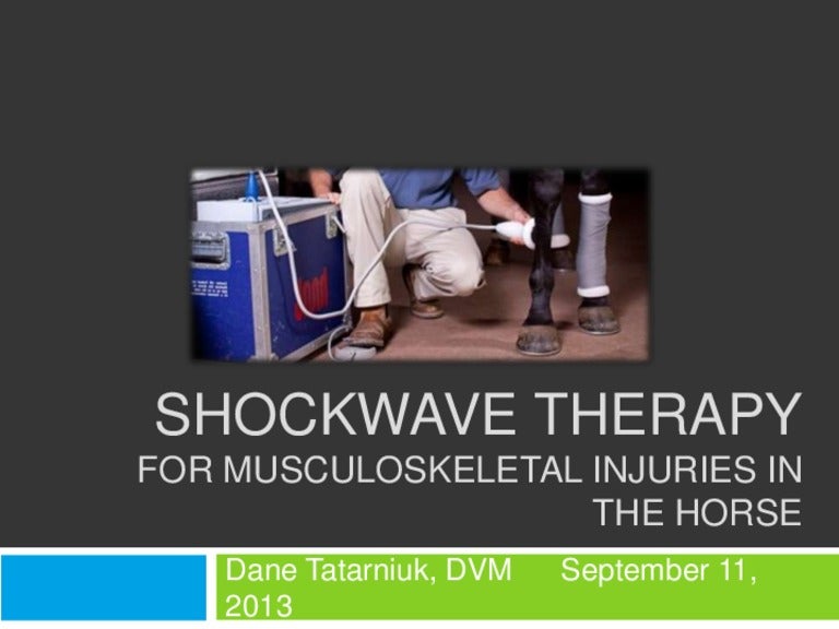 Shockwave Therapy in Horses