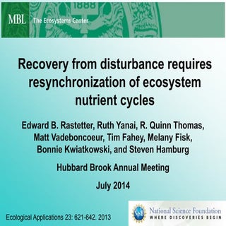 Shoestring2014 2-recovery