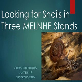 Shoestring2014 4-snails