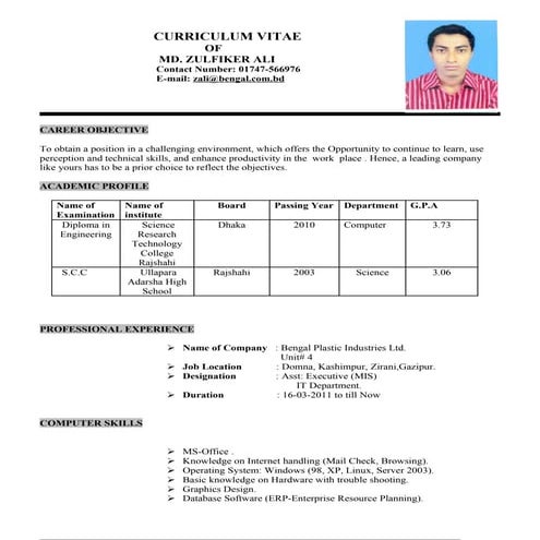 CV Sample. | PDF