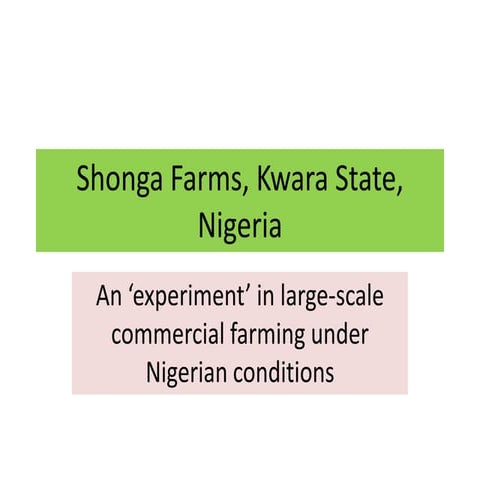 Mortimore Shonga Farms, Nigeria - An ‘experiment’ in large-scale commercial f...