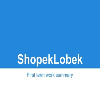 ShopekLobek first term work summary