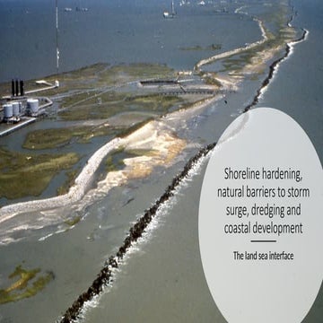 Shoreline hardening, natural barriers to storm surge.pptx